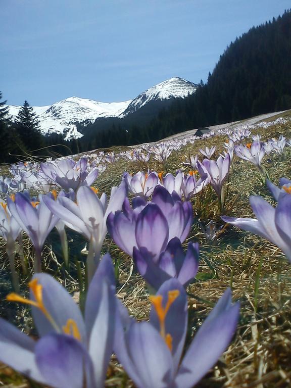 Privatunterkunft Goscinne U Wandy Zakopane
